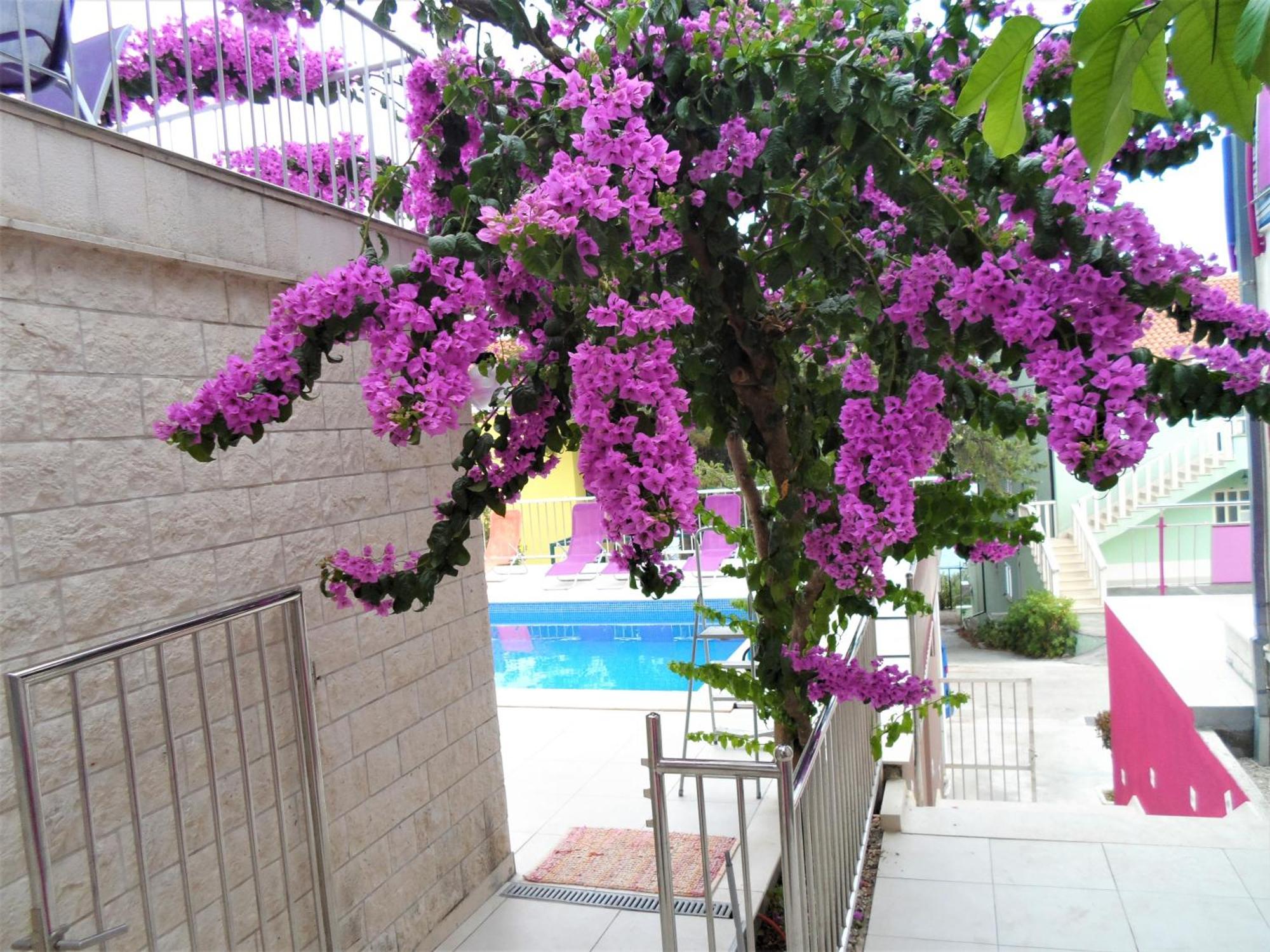 Villa Pinky And Superior Trogir Seget Vranjica Luaran gambar